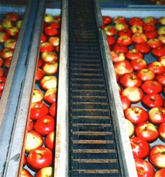 Řada R68 v závodě na třídění jablek, ve stálém kontaktu s vlhkostí a prachem.