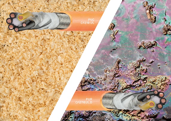 On-line seminář na téma CF