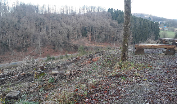 Oblast budoucí obnovy lesa v obci Lindlar